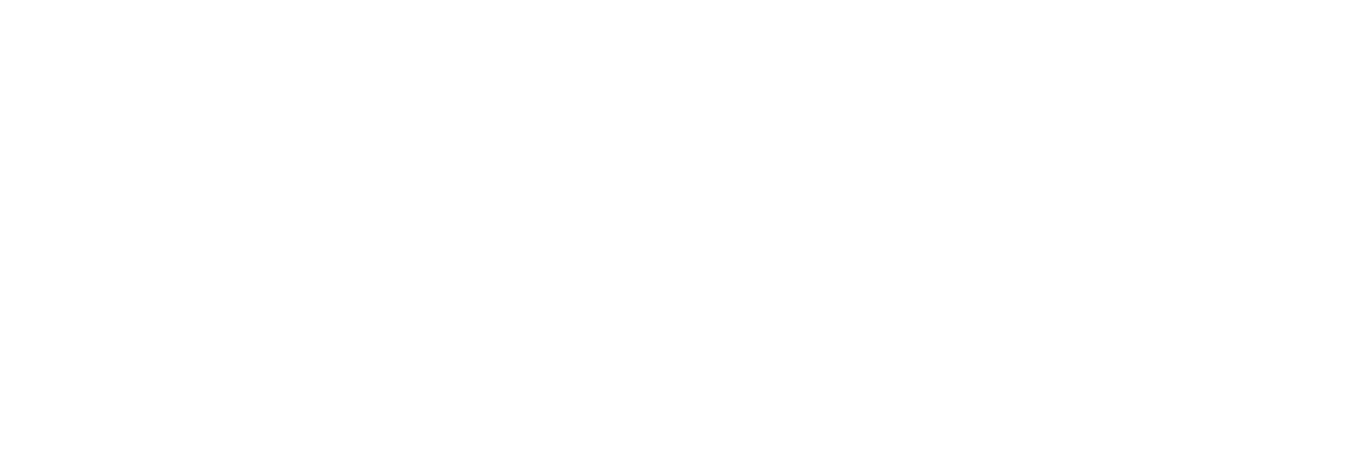 The Fixer